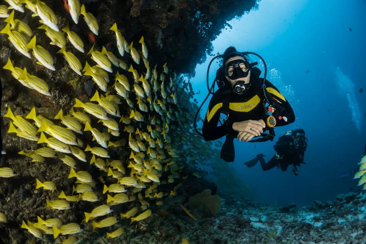 OIST Research Internship no Japão (Okinawa)
